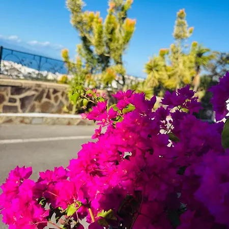 公寓 Tenerife Lovely With Ocean Mountain View